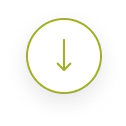 seta